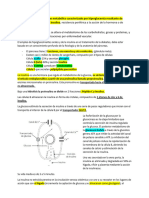 Estudio de Diabetes Insulinas Antidiabe Orales