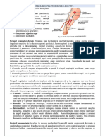 Anul 2 Sem 3 Tema 3 Controlul Respirației (1)