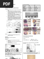 Download Clin Path Lab 3 by api-3743217 SN6775031 doc pdf