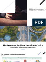 Economic Problem - Scarcity Choice