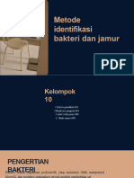 Metode Identifikasi Bakteri Dan Jamur