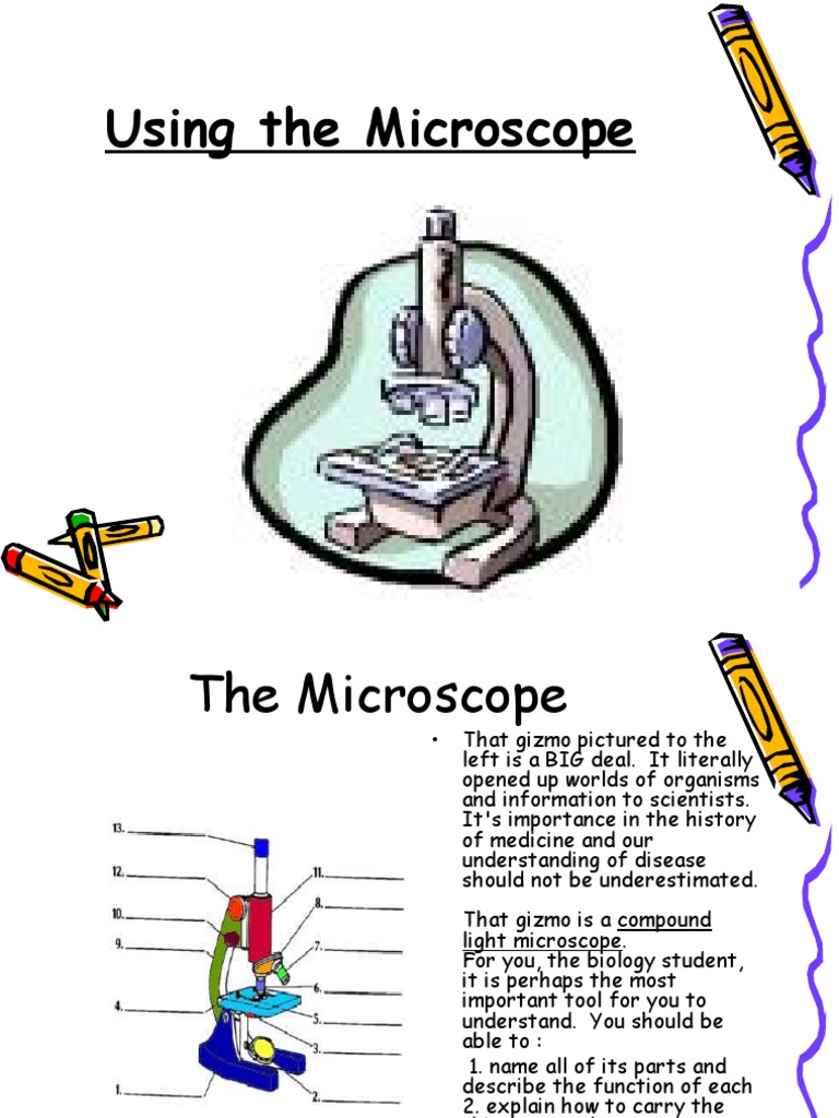 Anatomy and Physiology Microscope PDF Lens (Optics) Optics