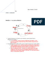 Activité 2 - Cycle Cellulaire