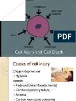 2 Cell Injury and Cell Death