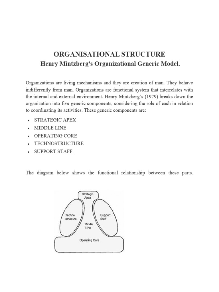 MINTZBERG ORGANIZATIONAL STRUCTURE EXAMPLES visual data 2