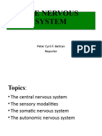 THE NERVOUS SYSTEM-WPS Office