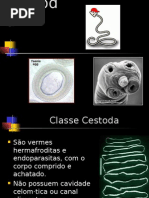 Cestoda