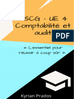 DSCG UE 4 Comptabilité Et Audit Xaxat4