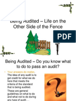 Being Audited - Life On The Other Side of The Fence