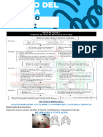 Manejo Del Trauma Sistemico Multiple TSM