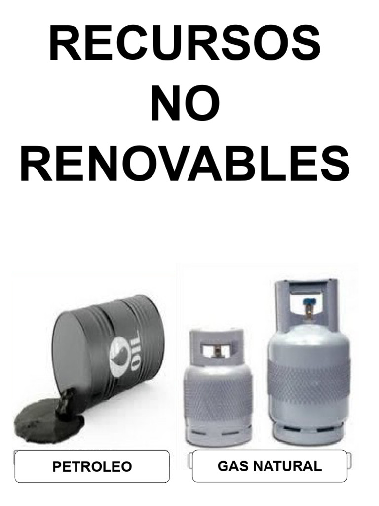 Recursos No Renovables PDF