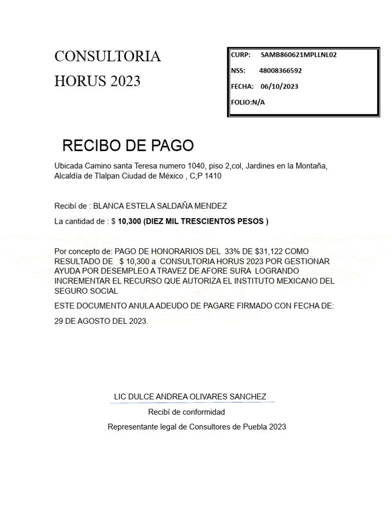 Formato Recibo de Pago Horus | PDF