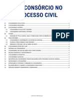 Litisconsórcio No Processo Civil