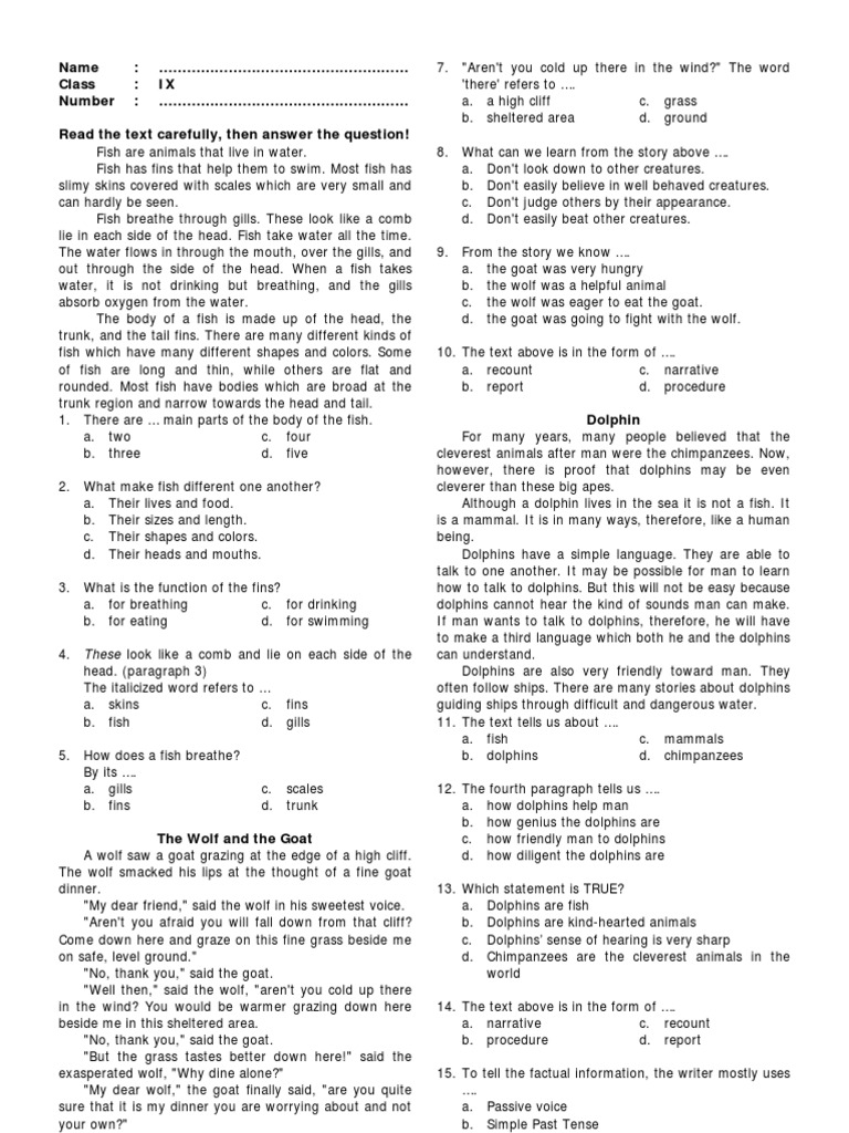 9 Report Narrative Dolphin Fish
