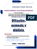 Semana 04 - Informe Biología. 