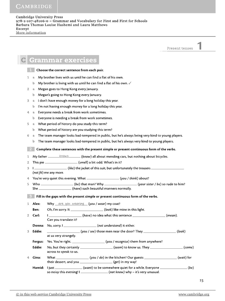 Present Tenses Homework | PDF