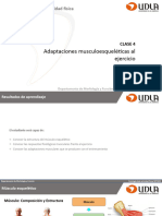 Clase 4 - Adapataciones Musculoesqueléticas Al Ejercicio Físico 2