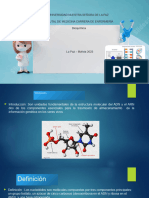 Nucleotidos