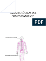 Funcionamiento Del SN y El Valor Adaptativo Neurodesarrollo Del Cerebro