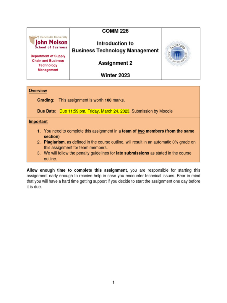 Business Technology Management Assignment | PDF