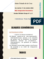 TEMA Integracion Economica