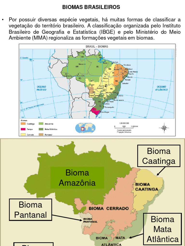 Biomas Do Brasil | PDF