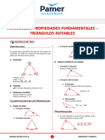 Triángulos: Propiedades Fundamentales - Triángulos Notables: Geometría Y Medidas