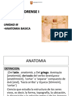 CLASE UNIDAD III ANATOMIA BASICA