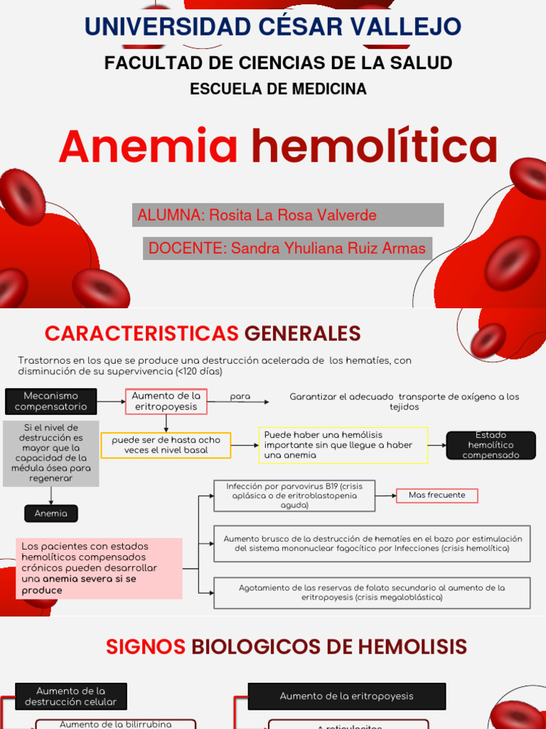 Anemia Hemolitica | PDF | Tejido (biología) | Anatomia animal