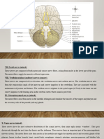 Cranial & Spinal Nerves