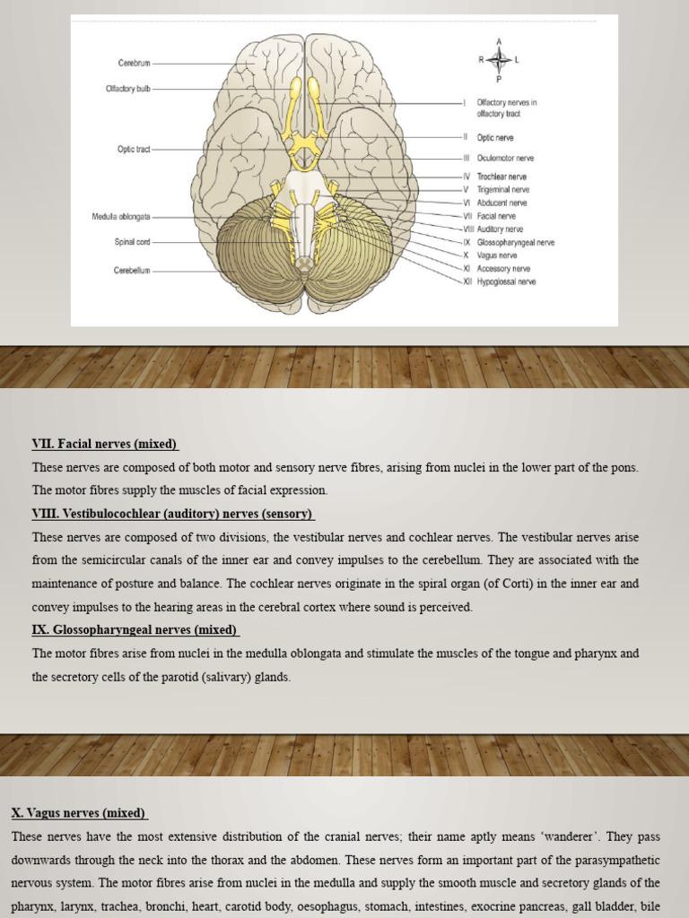 Nerve intelligence overview