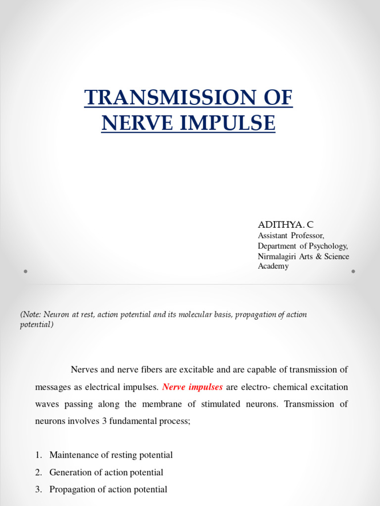 Transmission of Nerve Impulses Biology Diagrams