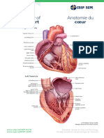 Poster06 Anatomy-Heart Ledger11x17