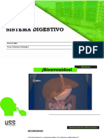 Sistema Digestivo