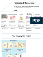 2.- Comunicación Intercelular