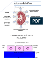 Fisiología Renal