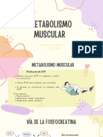 Metabolismo Muscular