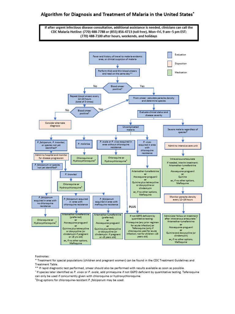 Malaria Treatment Algorithm Guide | PDF | Malaria | Plasmodium Falciparum