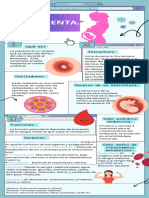 Infografia Sobre La Placenta.