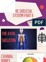 Skeletal System Part II