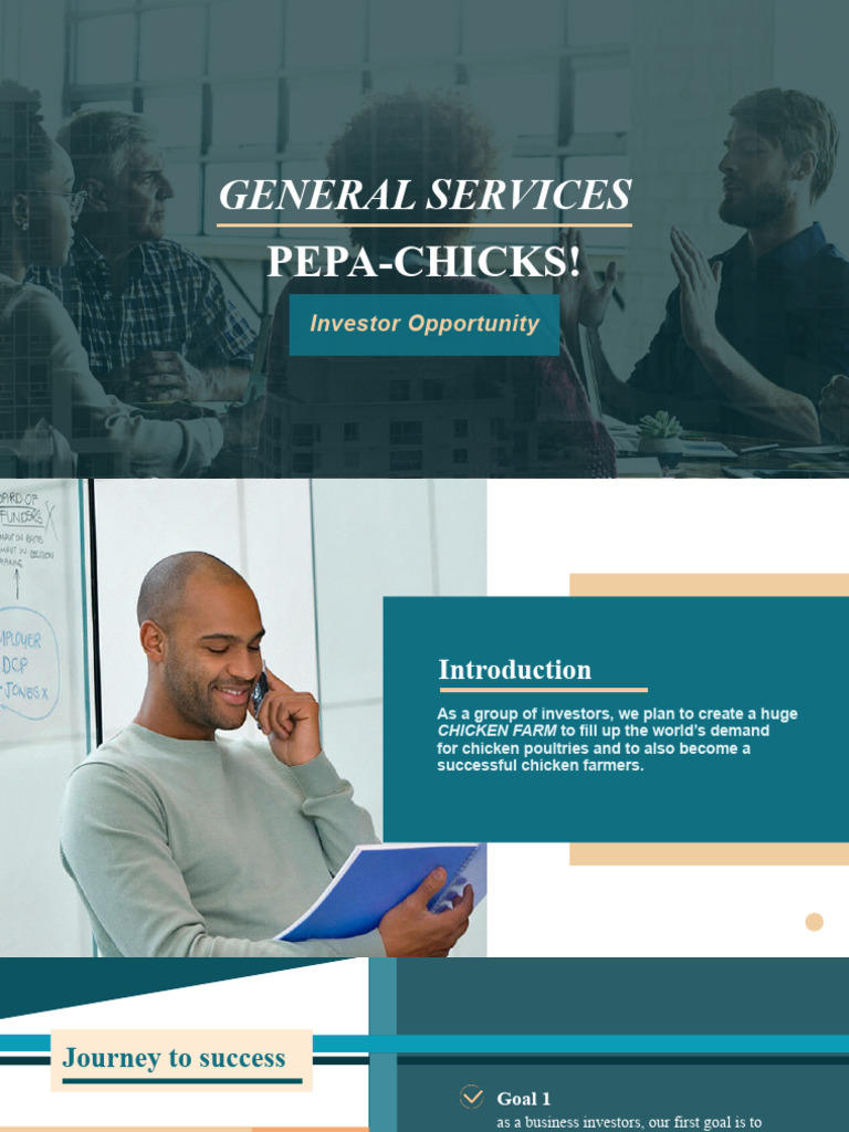 TlePepachicks Group 1 PDF Return On Investment Net