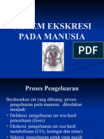 Sistem Ekskresi Pada Manusia