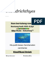 Chondrichthyes - Wikipedia Bahasa Indonesia, Ensi