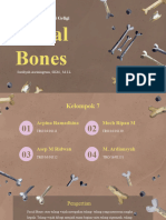 (A) Facial Bones