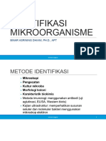 Identifikasi Mikroorganisme