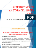 Diapositivas-Salidas Alternativas - Bolivia
