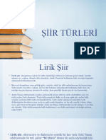 Şiir Türleri