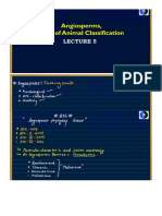 5 Animal Classification