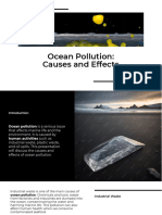 Ocean Pollution Causes and Effects