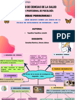 Organizador Gráfico - Pruebas Psicológicas I